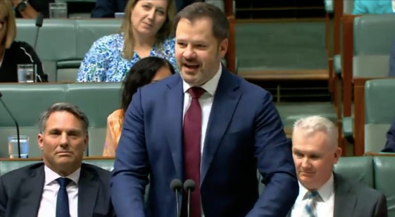 Dumped minister Ed Husic labels Deputy Prime Minister Richard Marles ‘factional assassin’